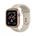 Магнитный чехол Coteetci золотой для Apple Watch 4/5/6/SE 40mm