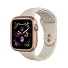 Магнитный чехол Coteetci золотой для Apple Watch 4/5/6/SE 44mm