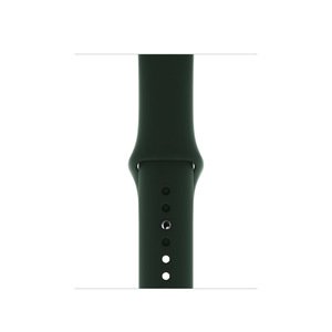 Ремінець Coteetci W3 темно-зелений для Apple Watch 38/40/41 мм