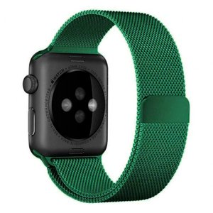 Ремешок Coteetci W6 зелёный для Apple Watch 38/40/41 мм