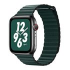 Ремешок Coteetci W7 Leather Magnet Band зелёный для Apple Watch 42/44/45/49mm