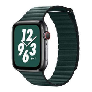 Ремінець Coteetci W7 Leather Magnet Band зелений для Apple Watch 38/40/41mm