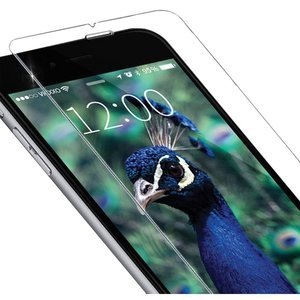 Защитное стекло iWalk прозрачное для iPhone 7/8