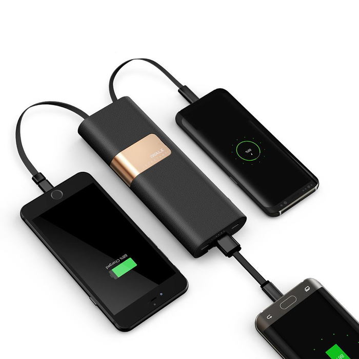 Внешний аккумулятор iWalk Secretary Plus 20000mAh черный (M+L)